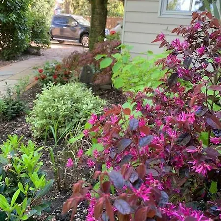 The Old Maple Lodge-luxury Private Annex With A View In Rural Setting * Riccall