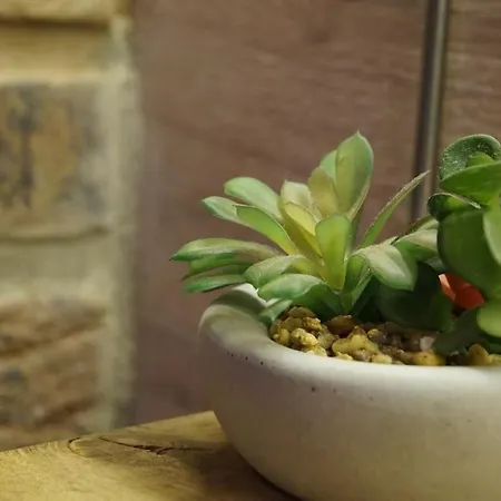 The Old Maple Lodge-luxury Private Annex With A View In Rural Setting * Riccall